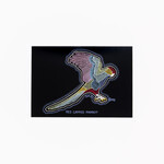 Cameron Benson Cameron Benson — A4 Art Print Red Capped Parrot