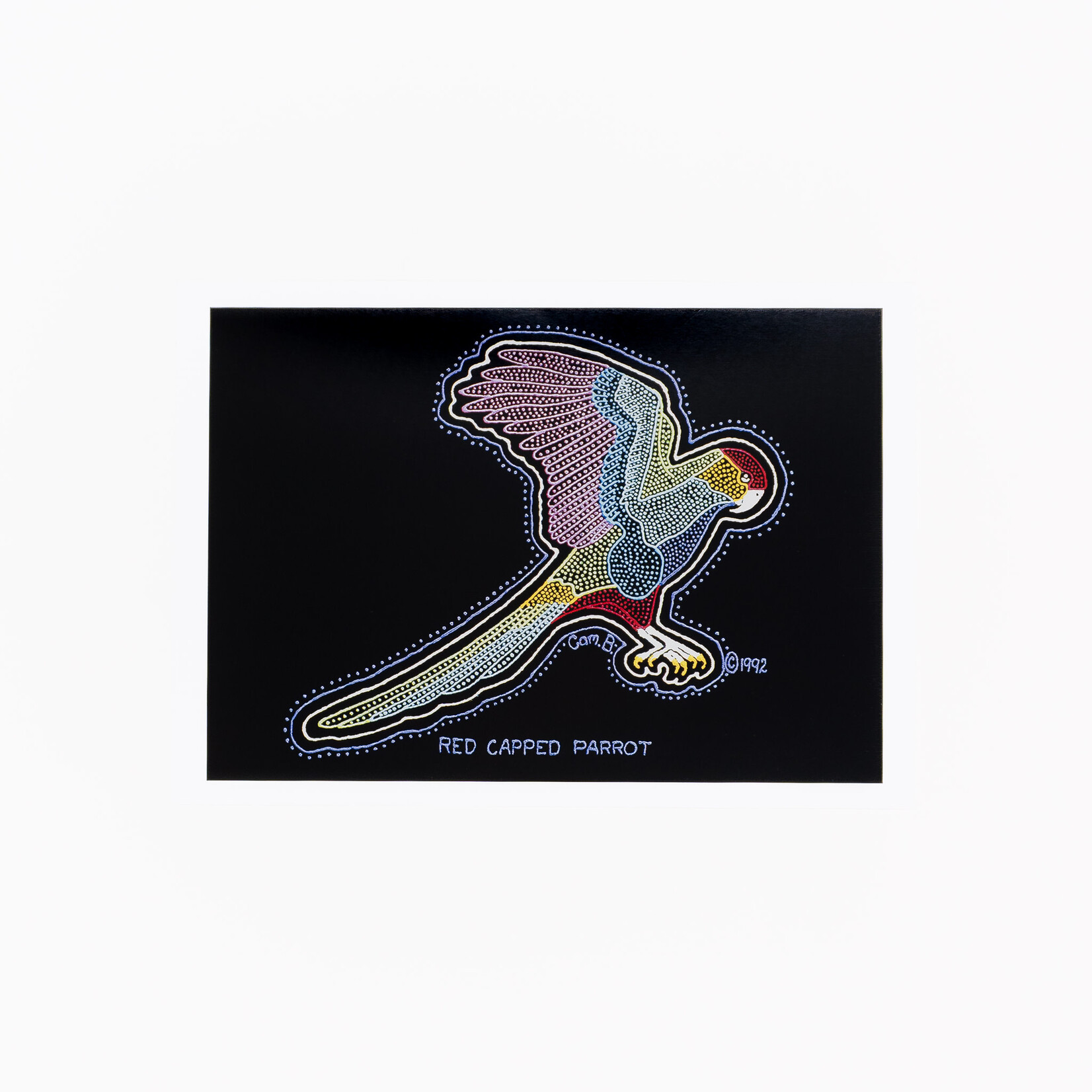 Cameron Benson Cameron Benson — A4 Art Print Red Capped Parrot