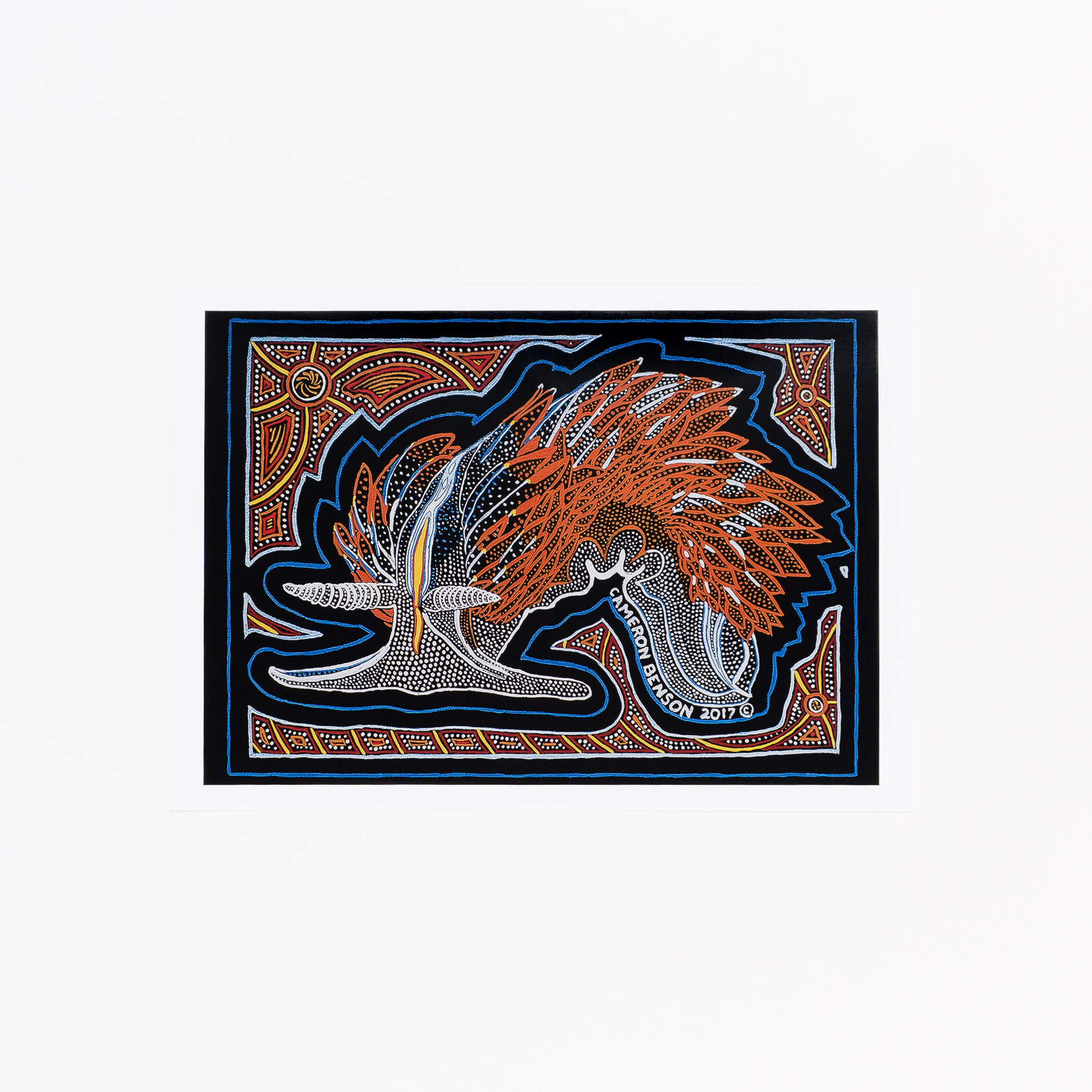 Cameron Benson Sea Slug A4 Art Print