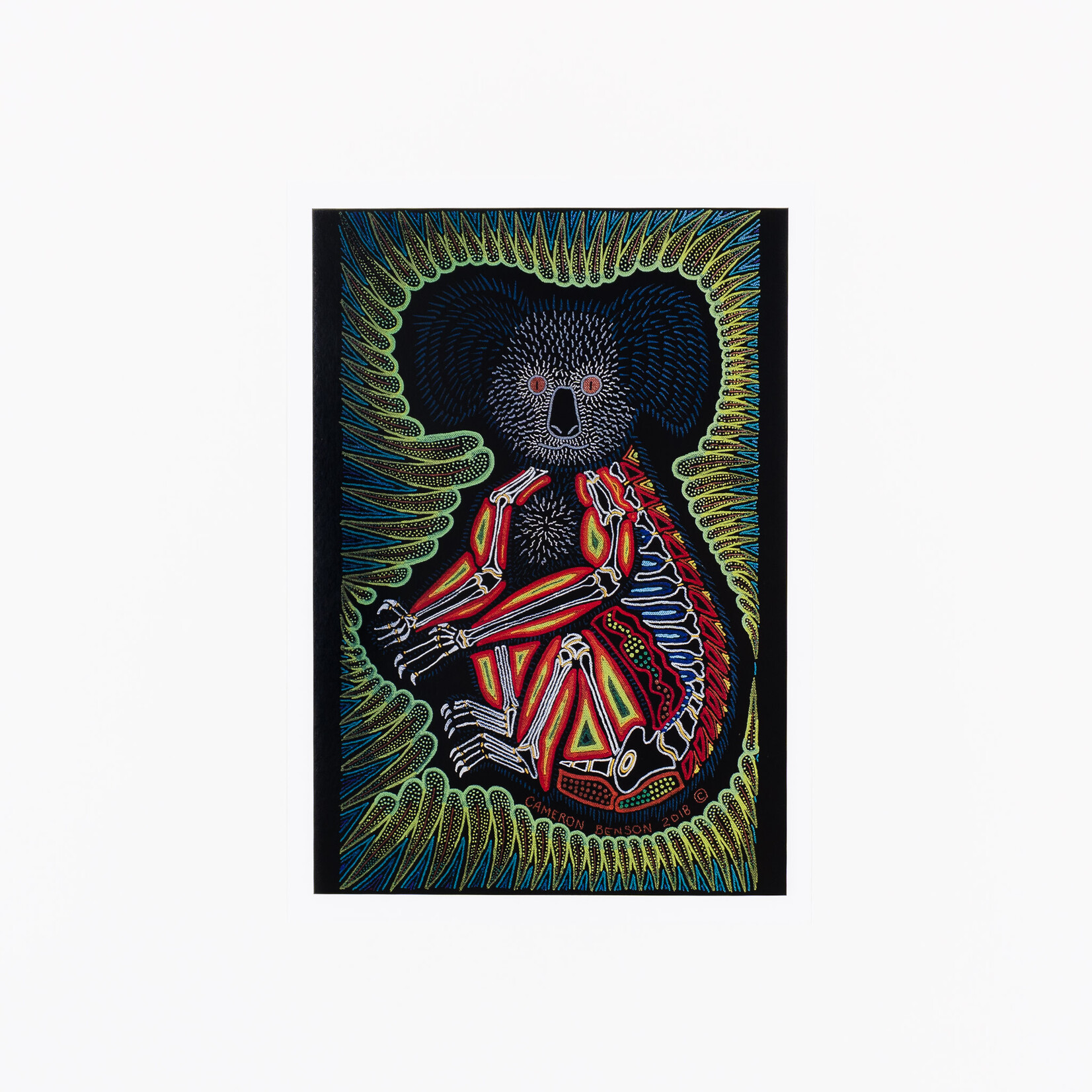 Cameron Benson Koala A4 Art Print