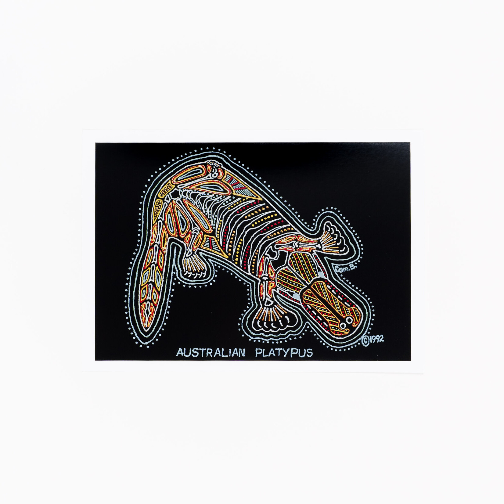 Cameron Benson Cameron Benson — A4 Art Print Platypus
