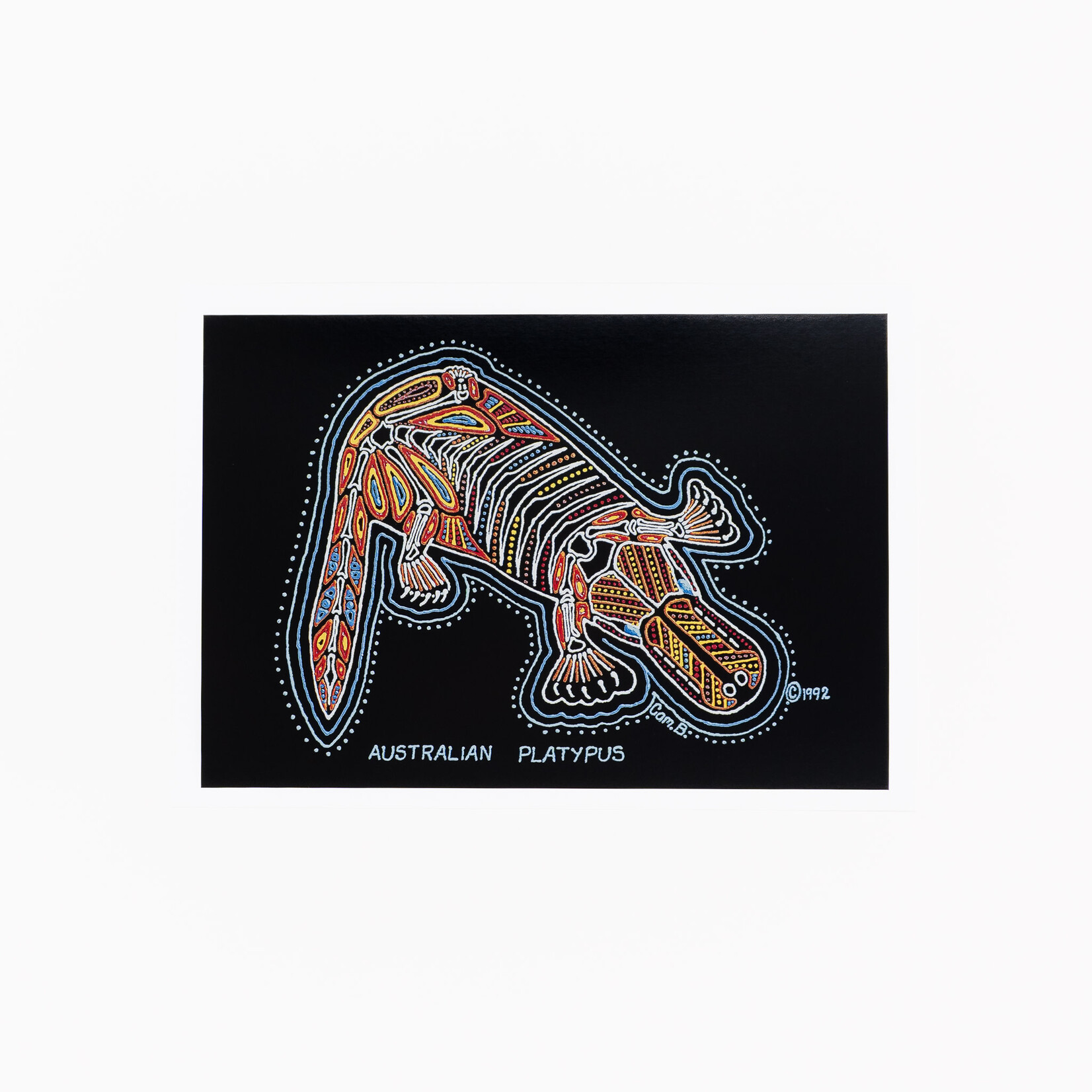 Cameron Benson Cameron Benson — A4 Art Print Platypus