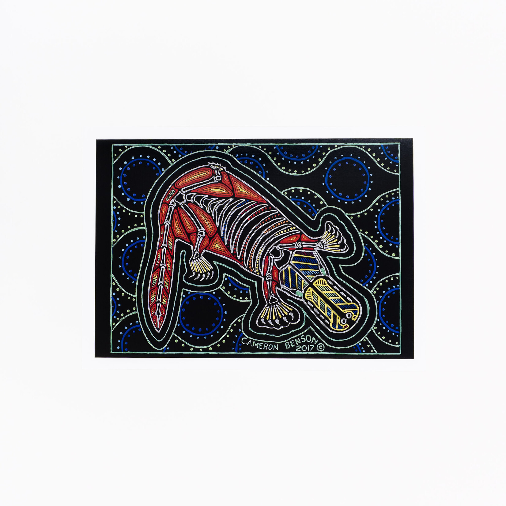 Cameron Benson Cameron Benson — A4 Art Print Platypus