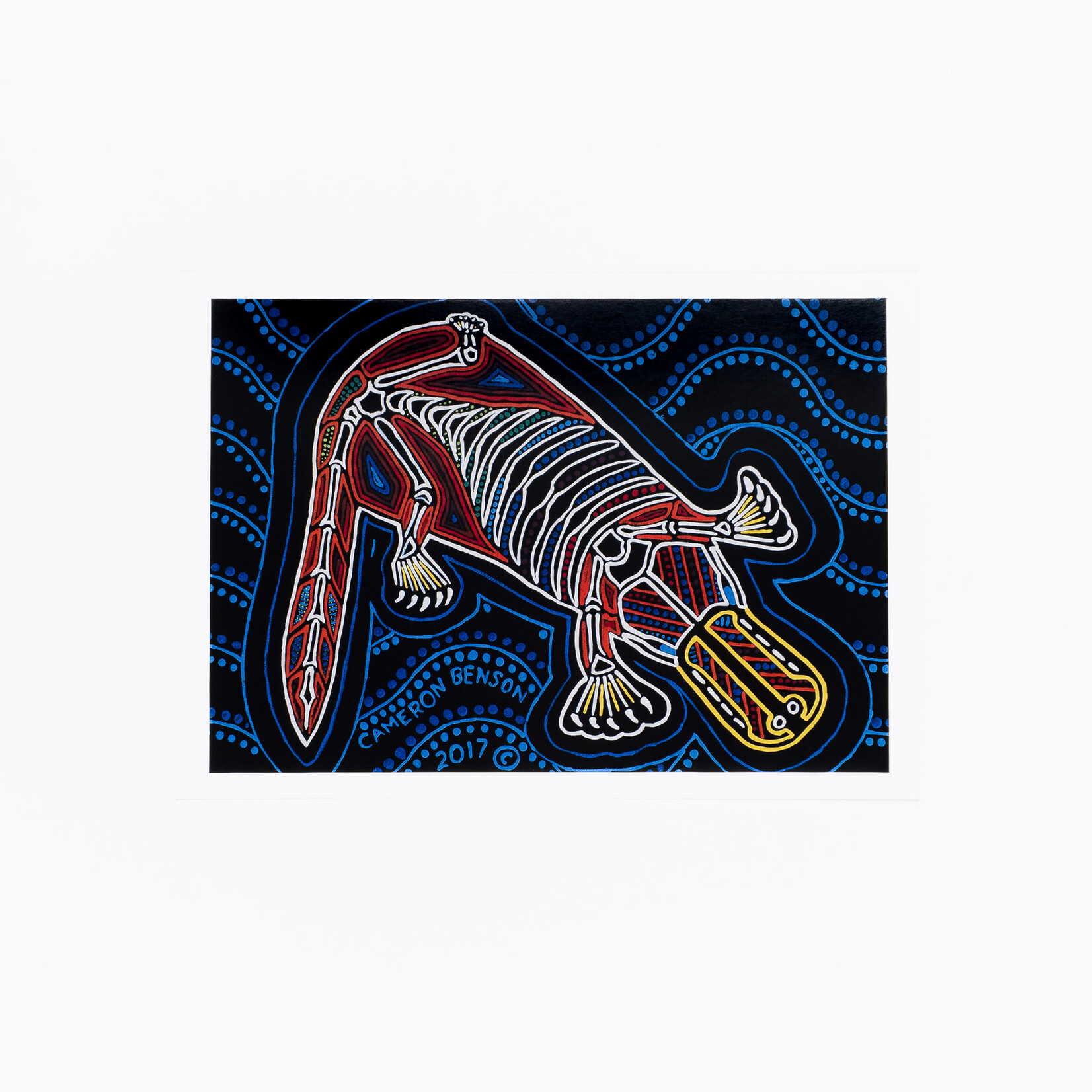 Cameron Benson Cameron Benson — A4 Art Print Platypus
