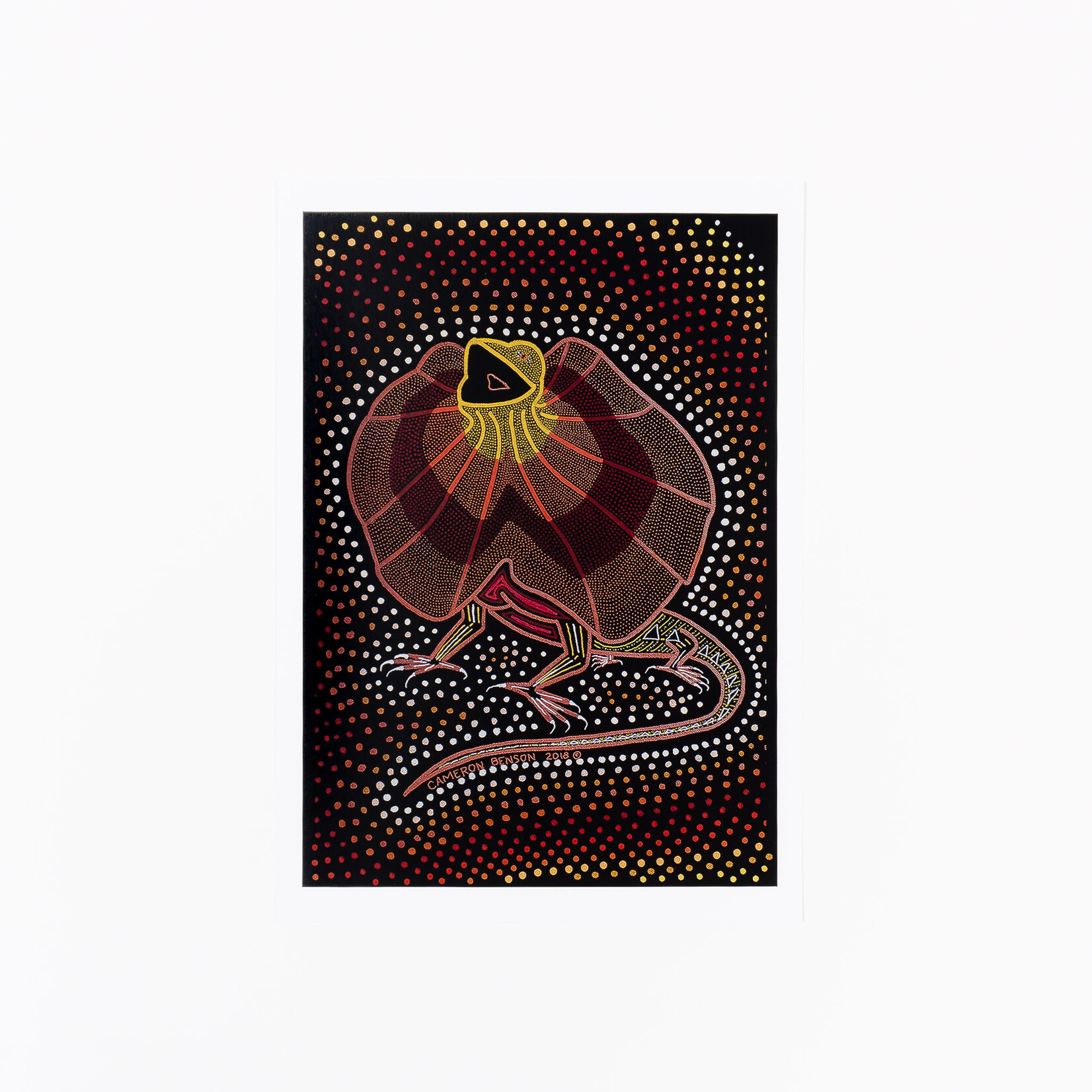 Cameron Benson Frilled Neck Lizard A4 Art Print
