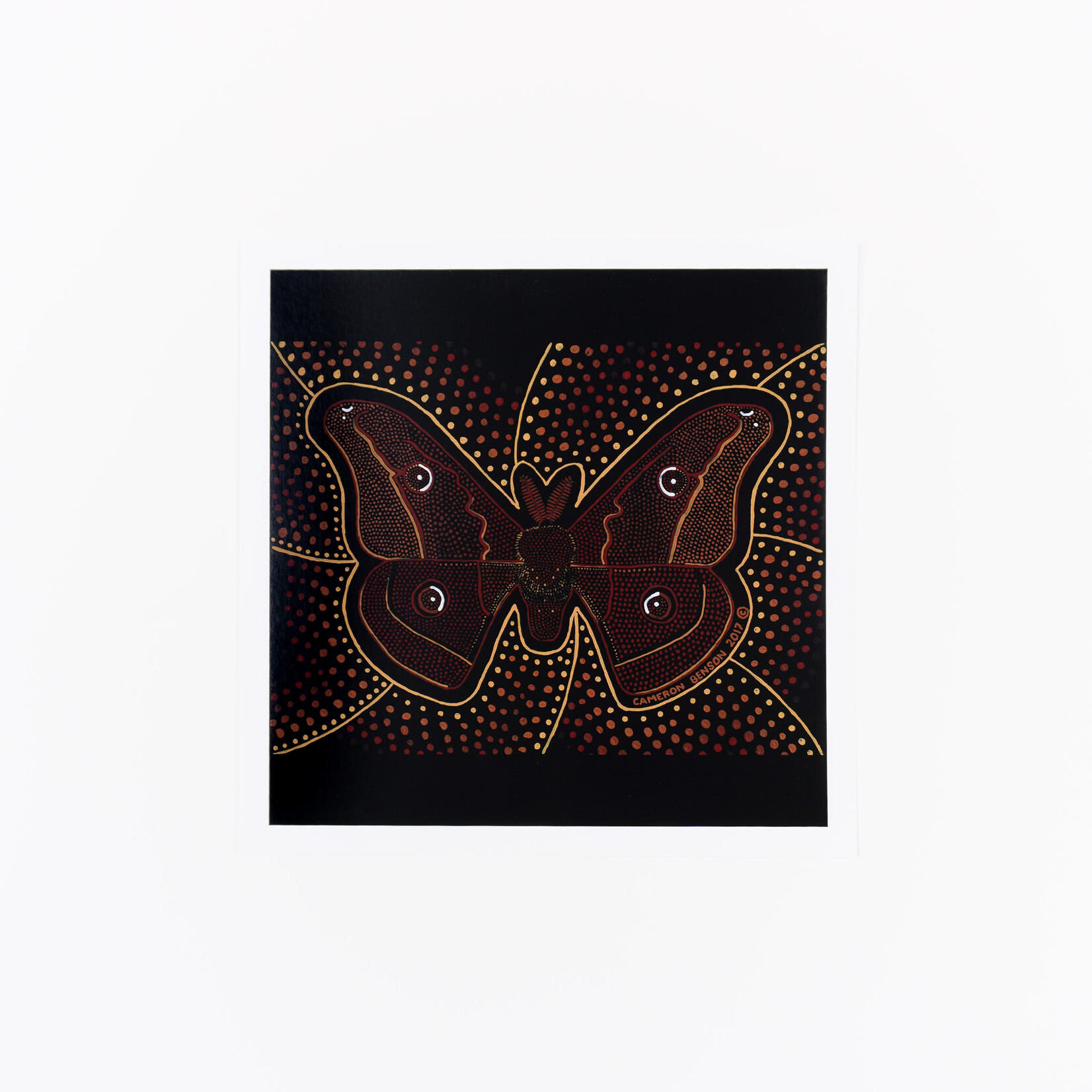 Cameron Benson Cameron Benson — Emperor Gum Moth Square Art Print
