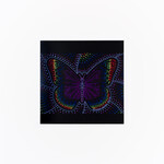 Cameron Benson Cameron Benson — Square Art Print Butterfly