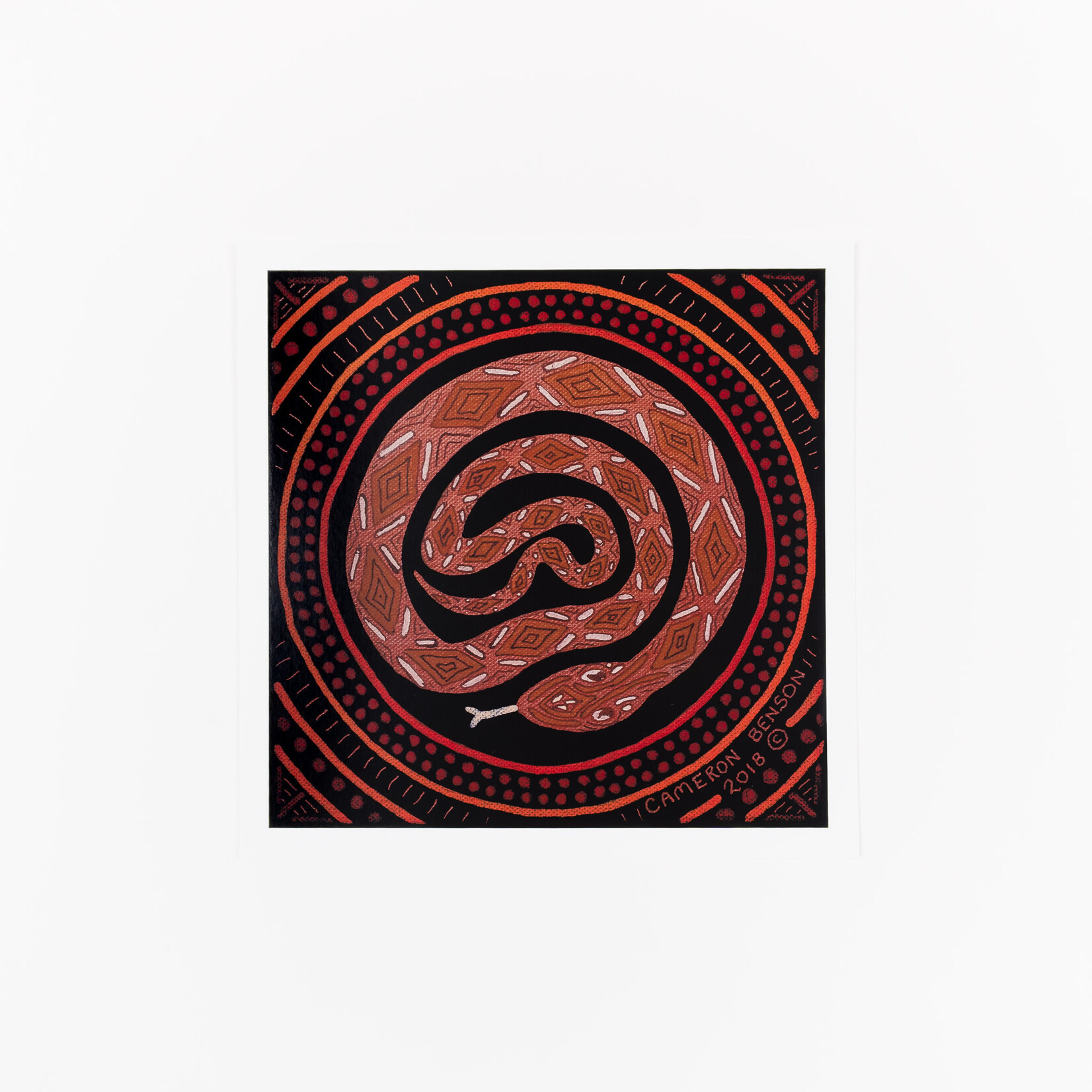 Cameron Benson Cameron Benson — Square Art Print Snake