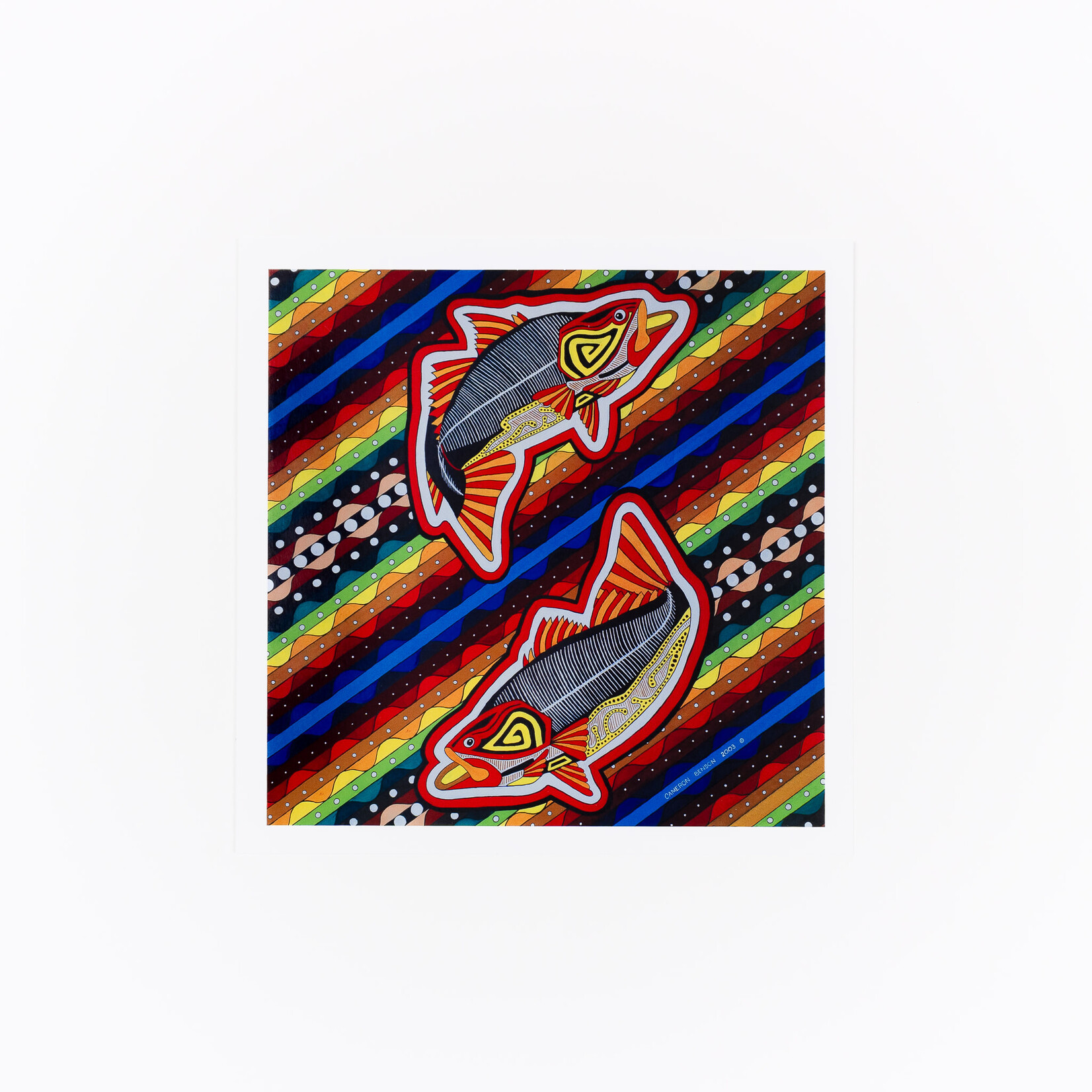Cameron Benson Fish Square Art Print