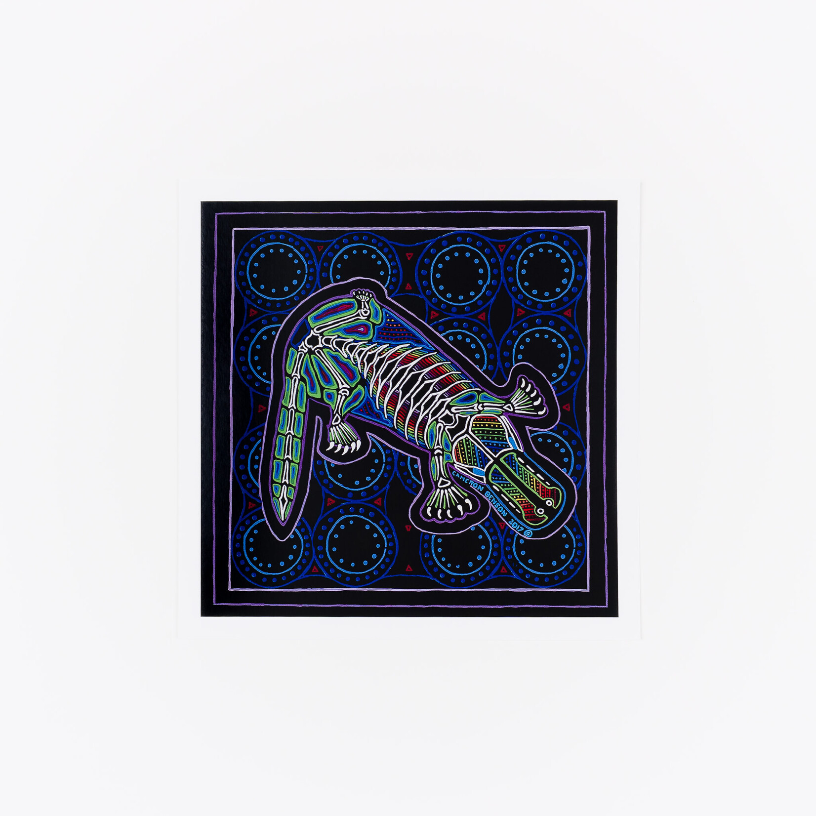 Cameron Benson Platypus Square Art Print