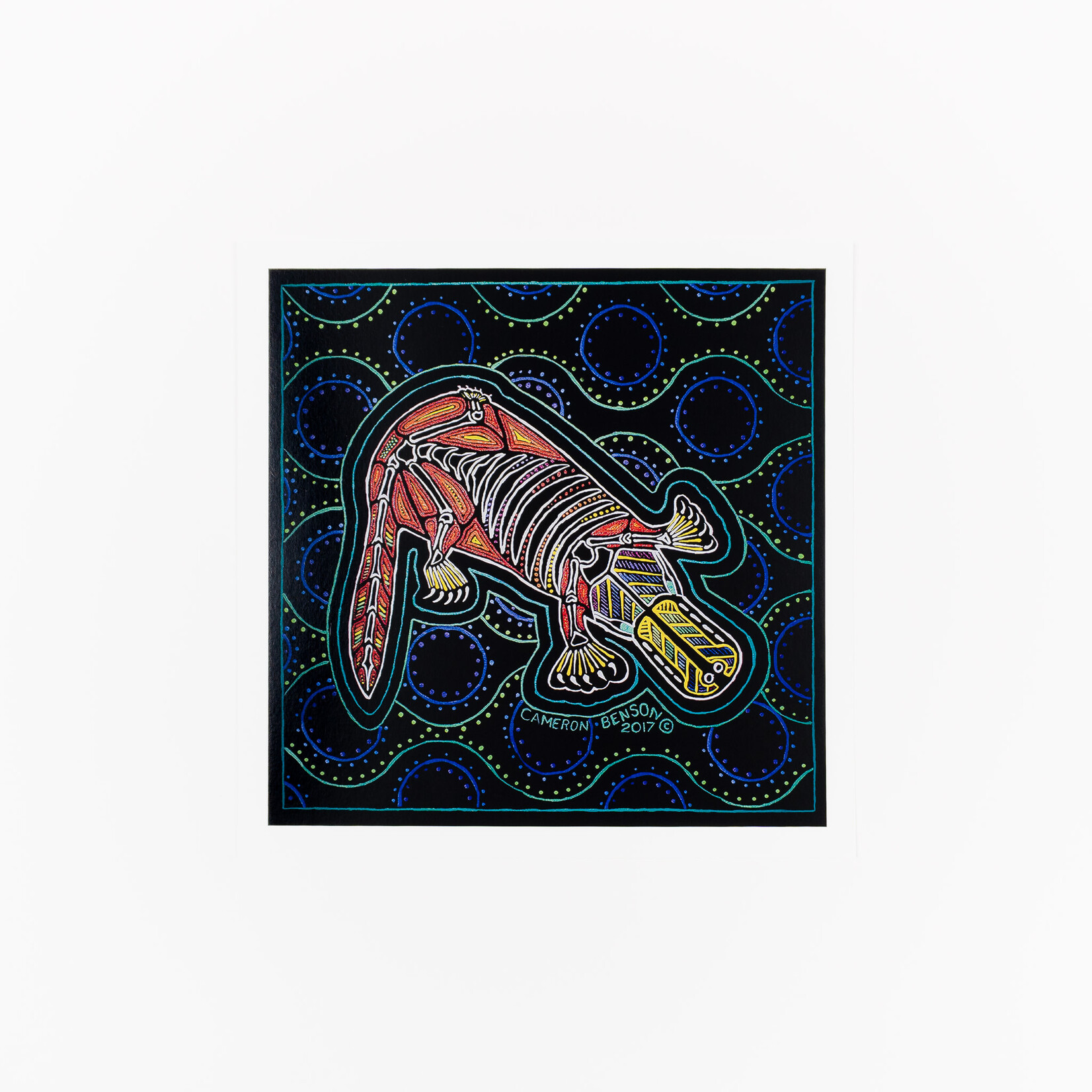 Cameron Benson Platypus Square Art Print
