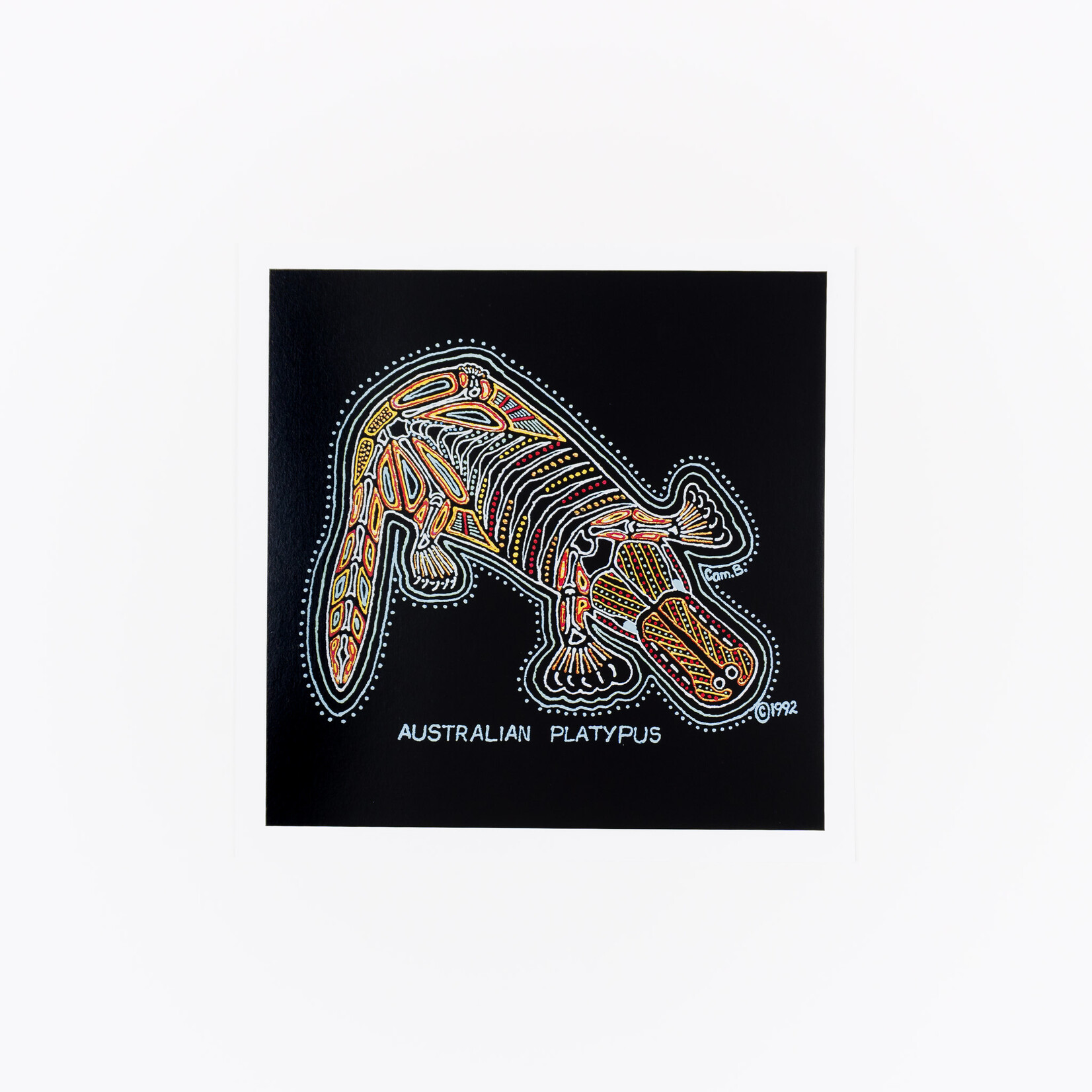 Cameron Benson Platypus Square Art Print