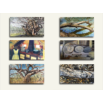 Jenny Murray-Jones Greeting Card