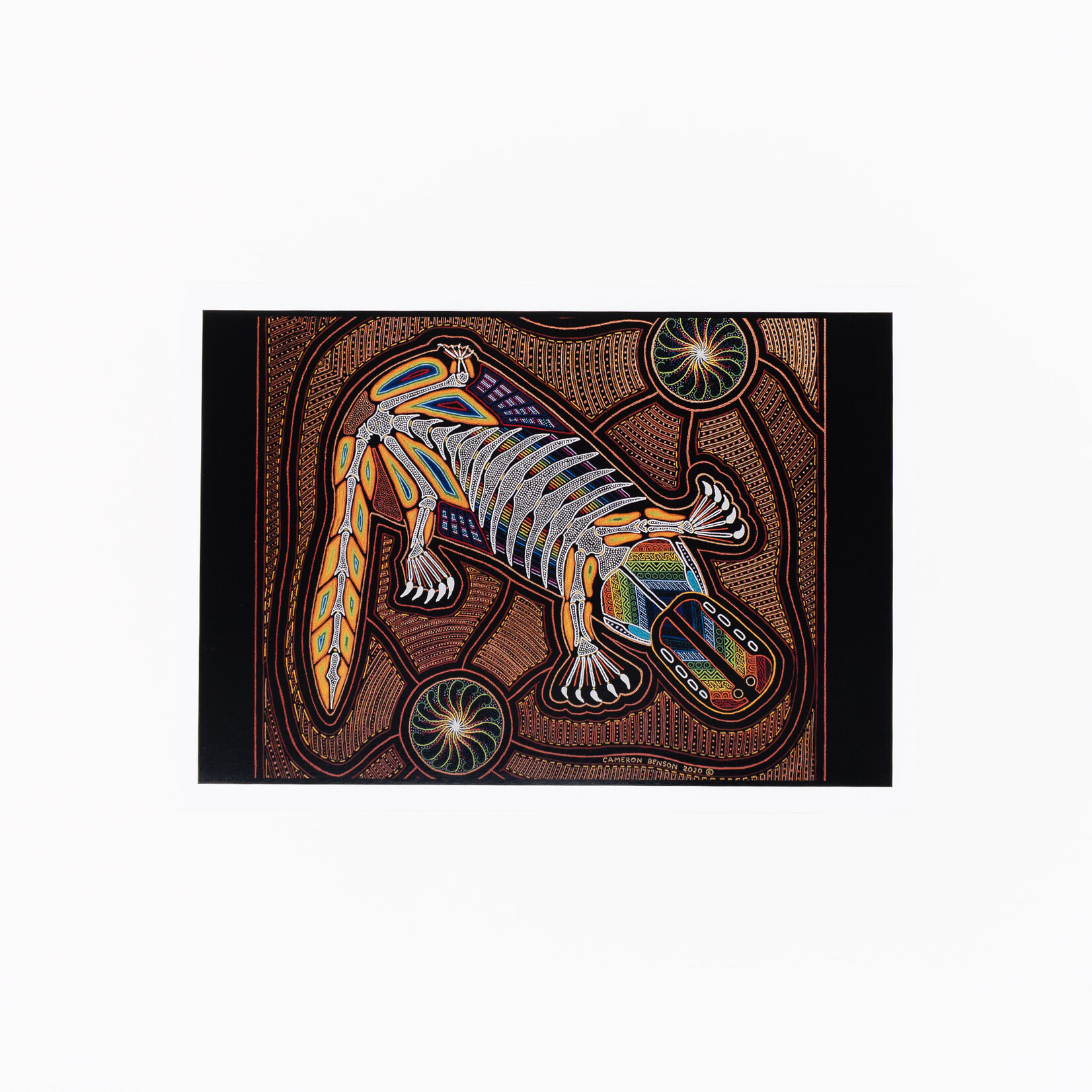 Cameron Benson Cameron Benson — A4 Art Print Platypus