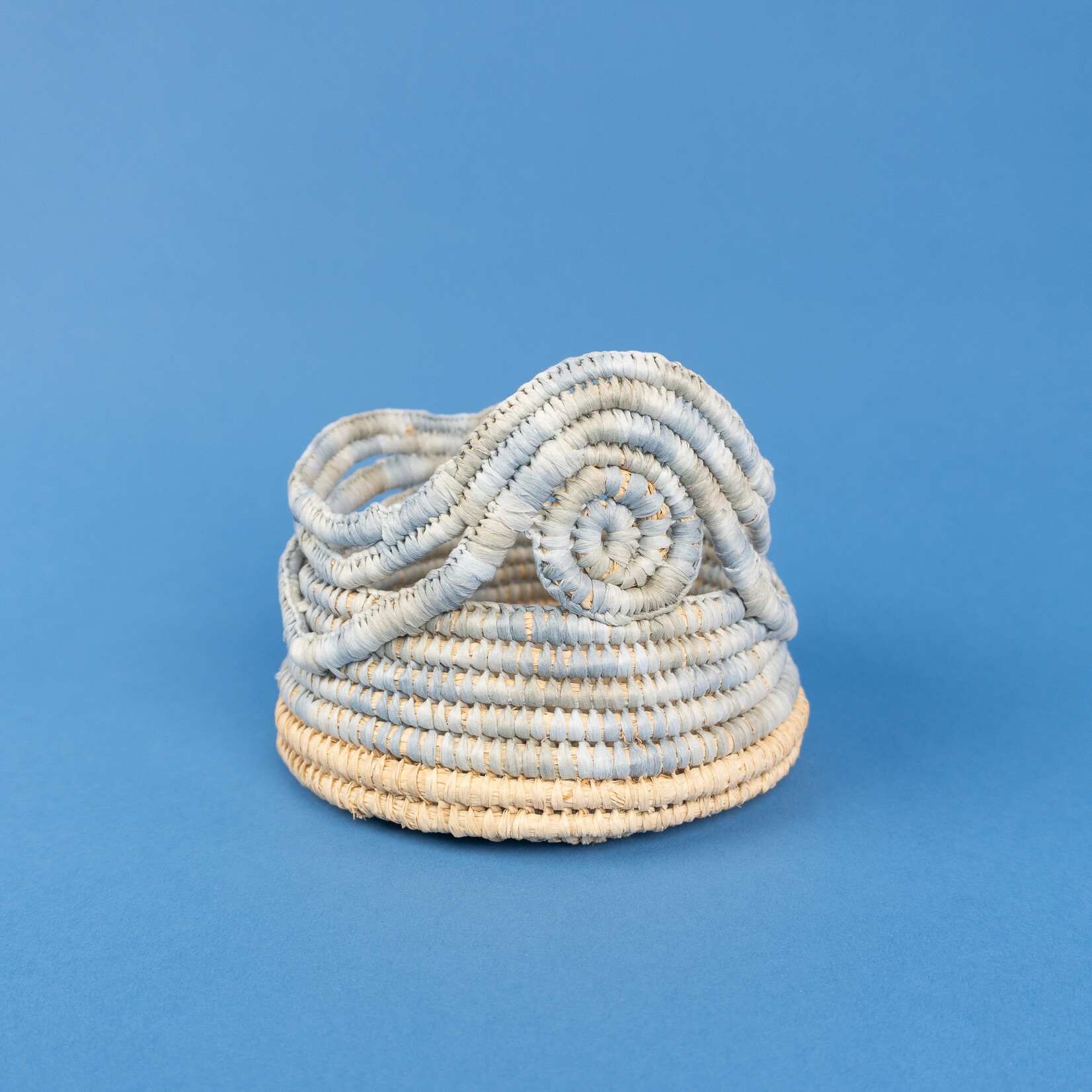 Trina Dalton-Oogjes Trina Dalton-Oogjes — Medium Woven Basket (Blue)