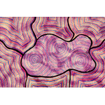 Georgina  Post Georgina  Post — Girrambanha (Feel the fire)