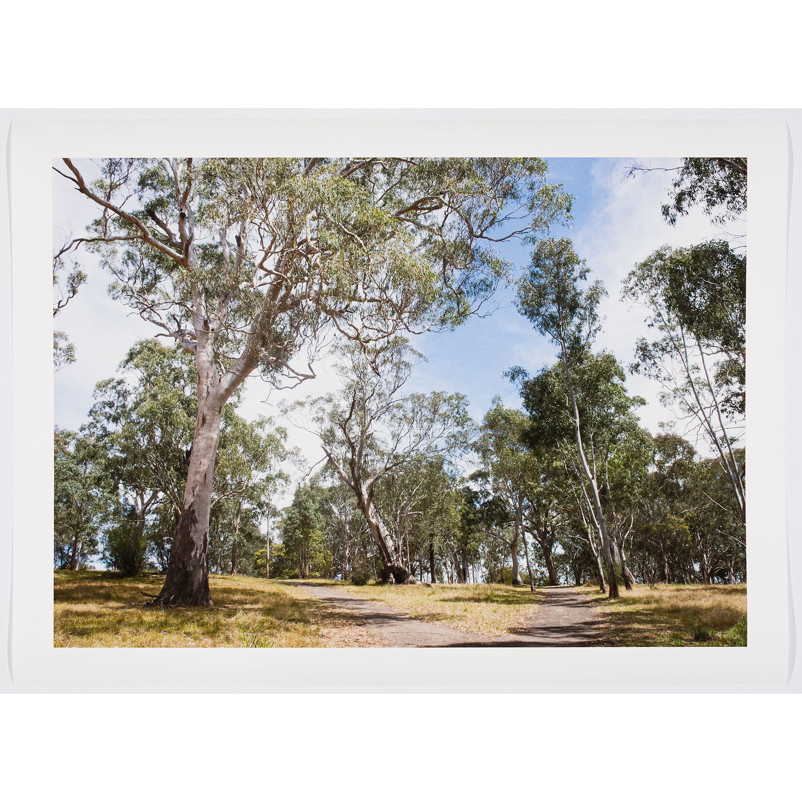 Hollie Johnson Hollie Johnson — Given Space