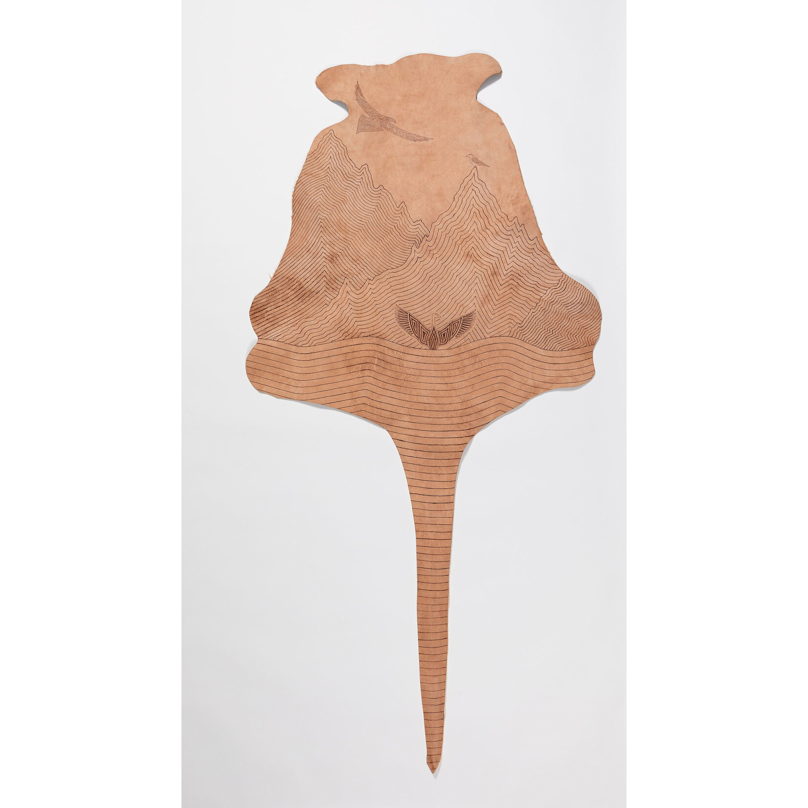 Iluka Sax-Williams Iluka Sax-Williams — Gunnawarra – The Black Swan