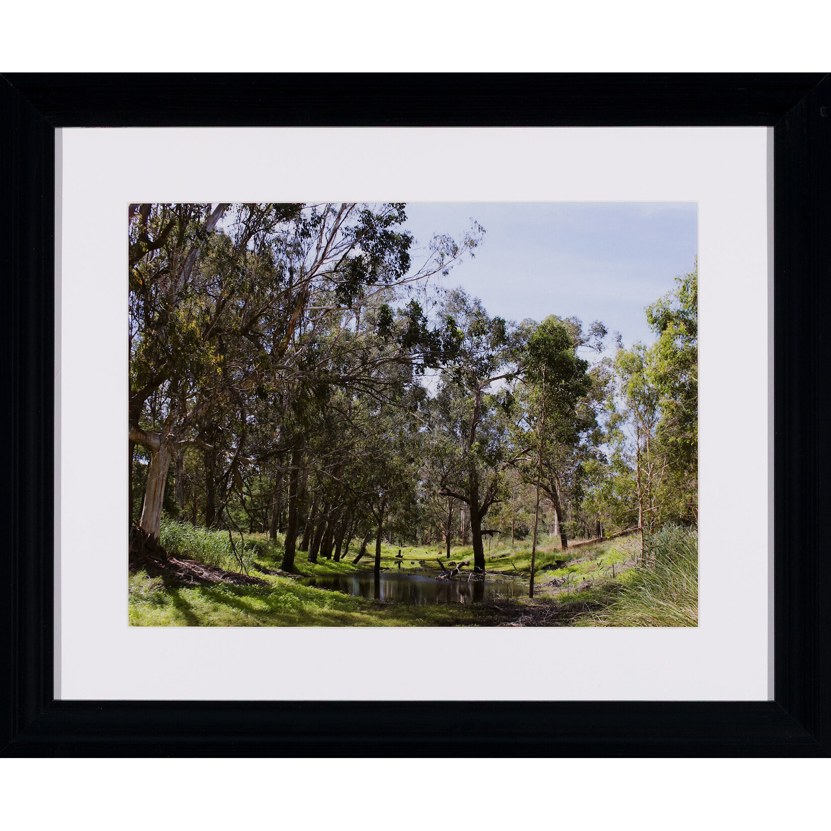 Jedda  Rose Jedda  Rose  — Coranderrk Aborginal Station Healesville, Victoria