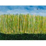 Lynette  Fagan Lynette  Fagan — Mullahwulla Wetlands