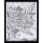 Nicholas Smith Nicholas Smith — Shared Nature