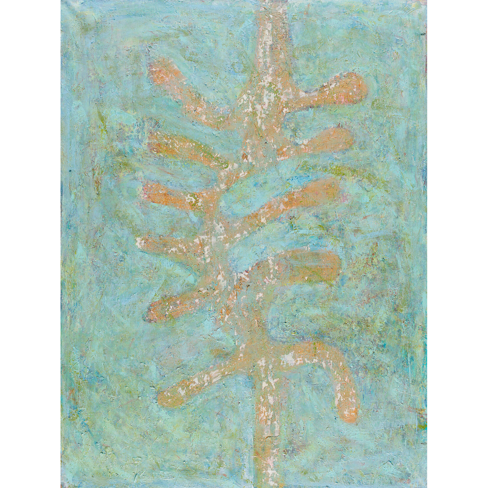 RICHARD YOUNG RICHARD YOUNG — Lake Condah