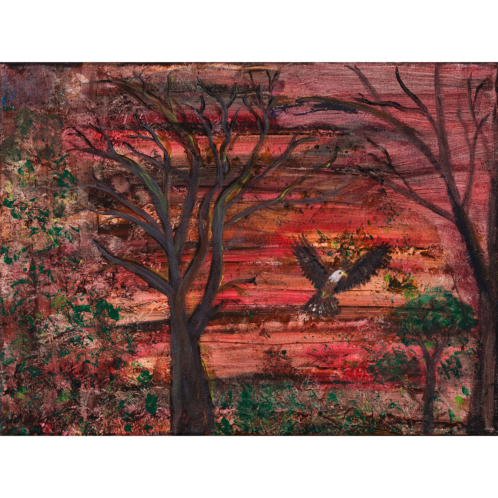 Tania Banfield Tania Banfield — Bunjil's Hotel