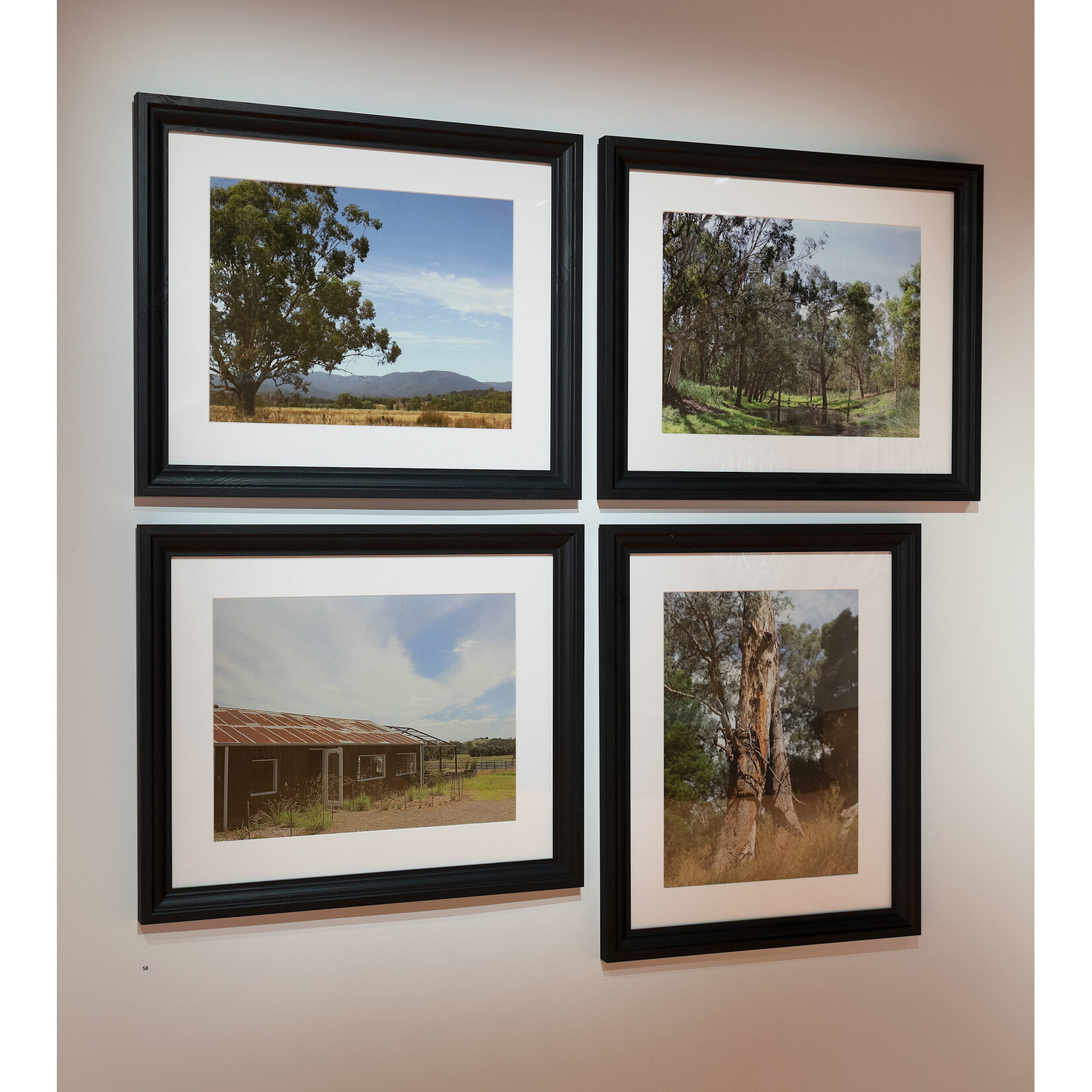 Jedda  Rose Jedda  Rose  — Coranderrk Aborginal Station Healesville, Victoria