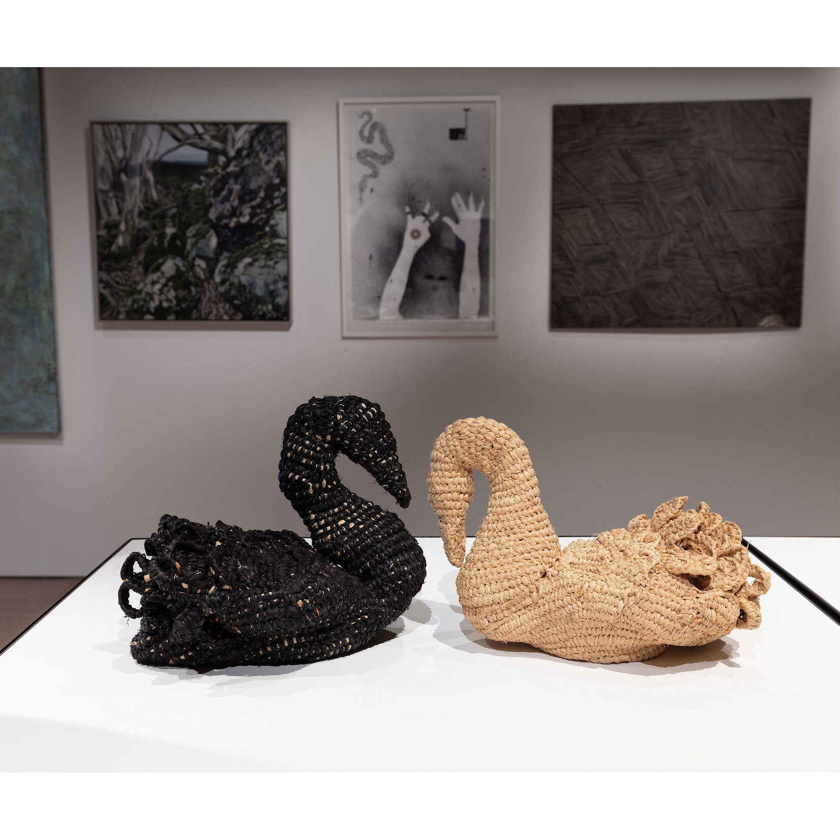 Madi Mercer Madi Mercer — How I See You: Kunuwarra & Swan