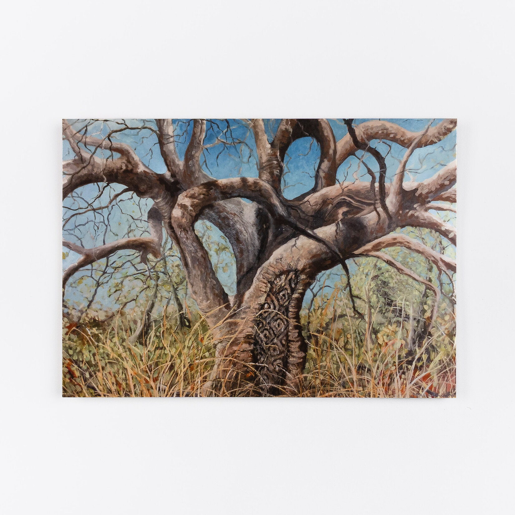 Jenny Murray-Jones Greeting Card