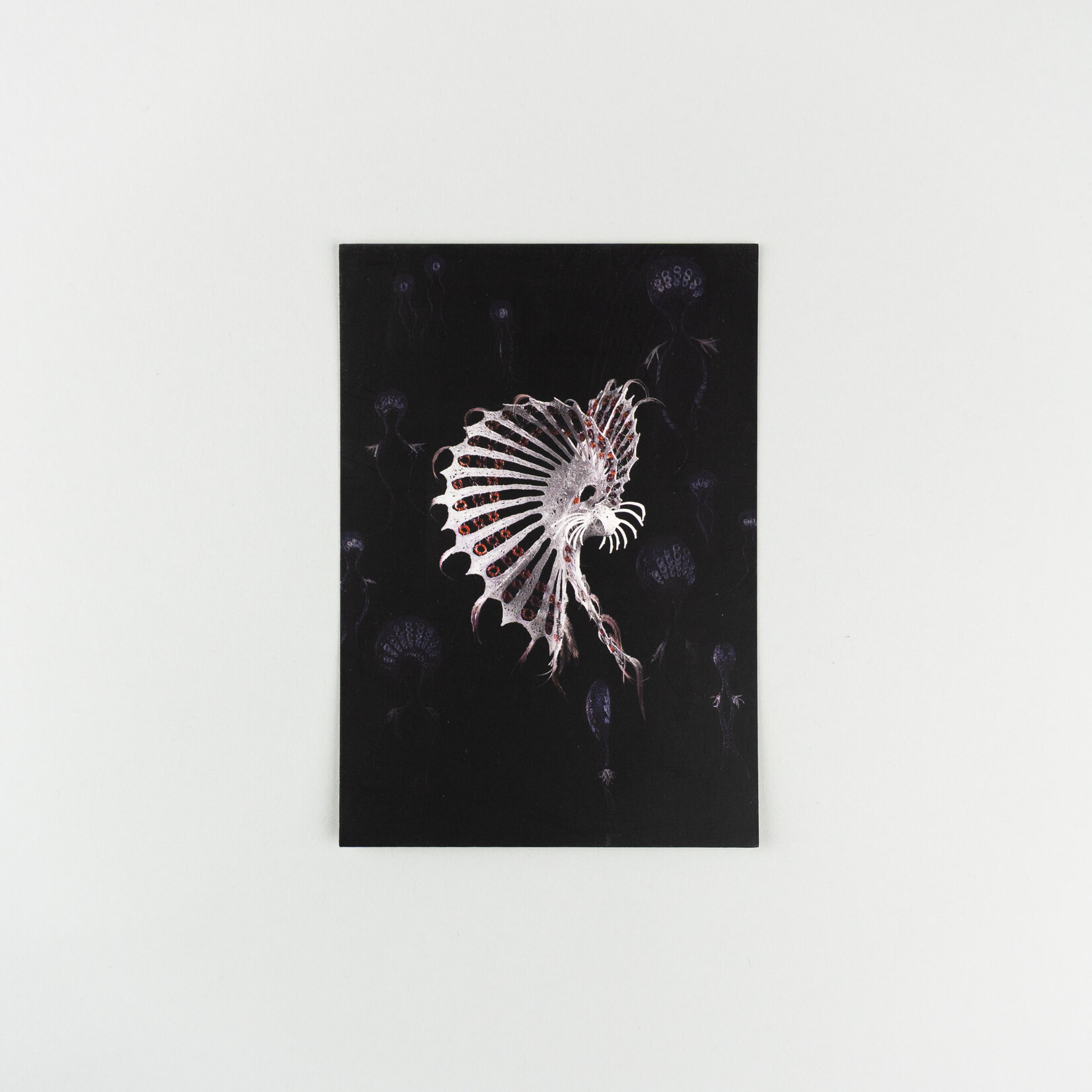 Jenny Crompton Postcard