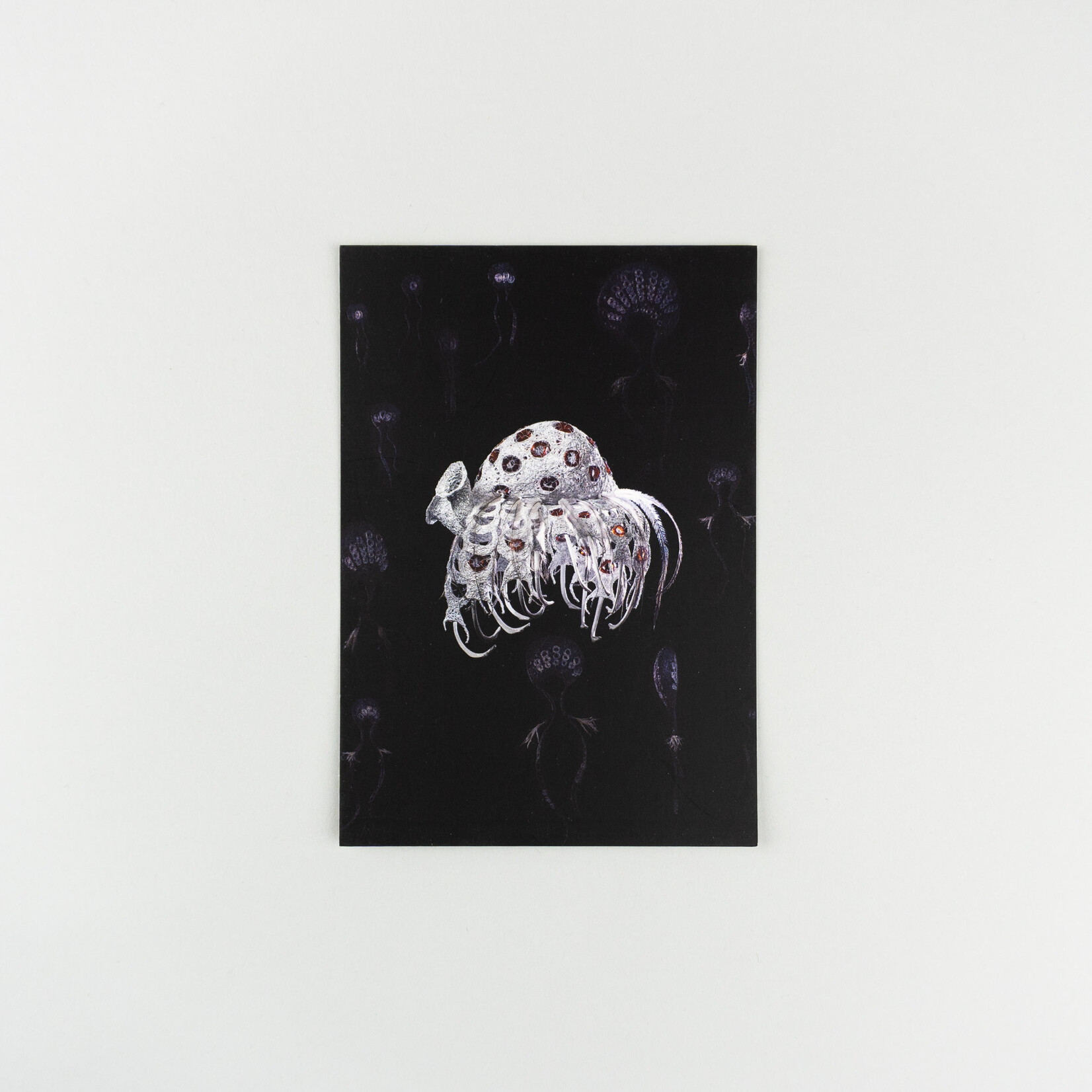 Jenny Crompton Postcard