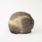 Marbeangrook Marngrook (Large)