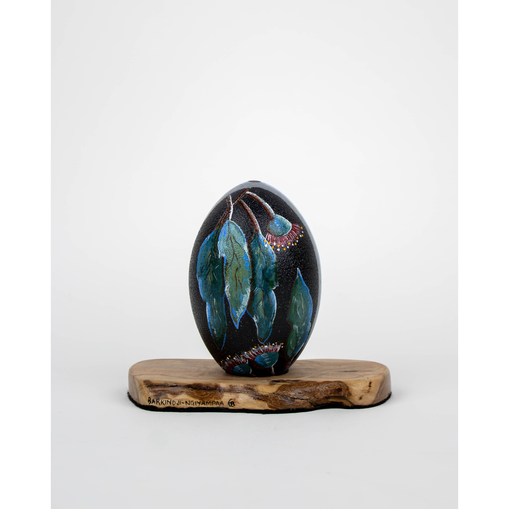 Barbara’s Aboriginal Fine Arts Emu Egg - Figure and Leaves