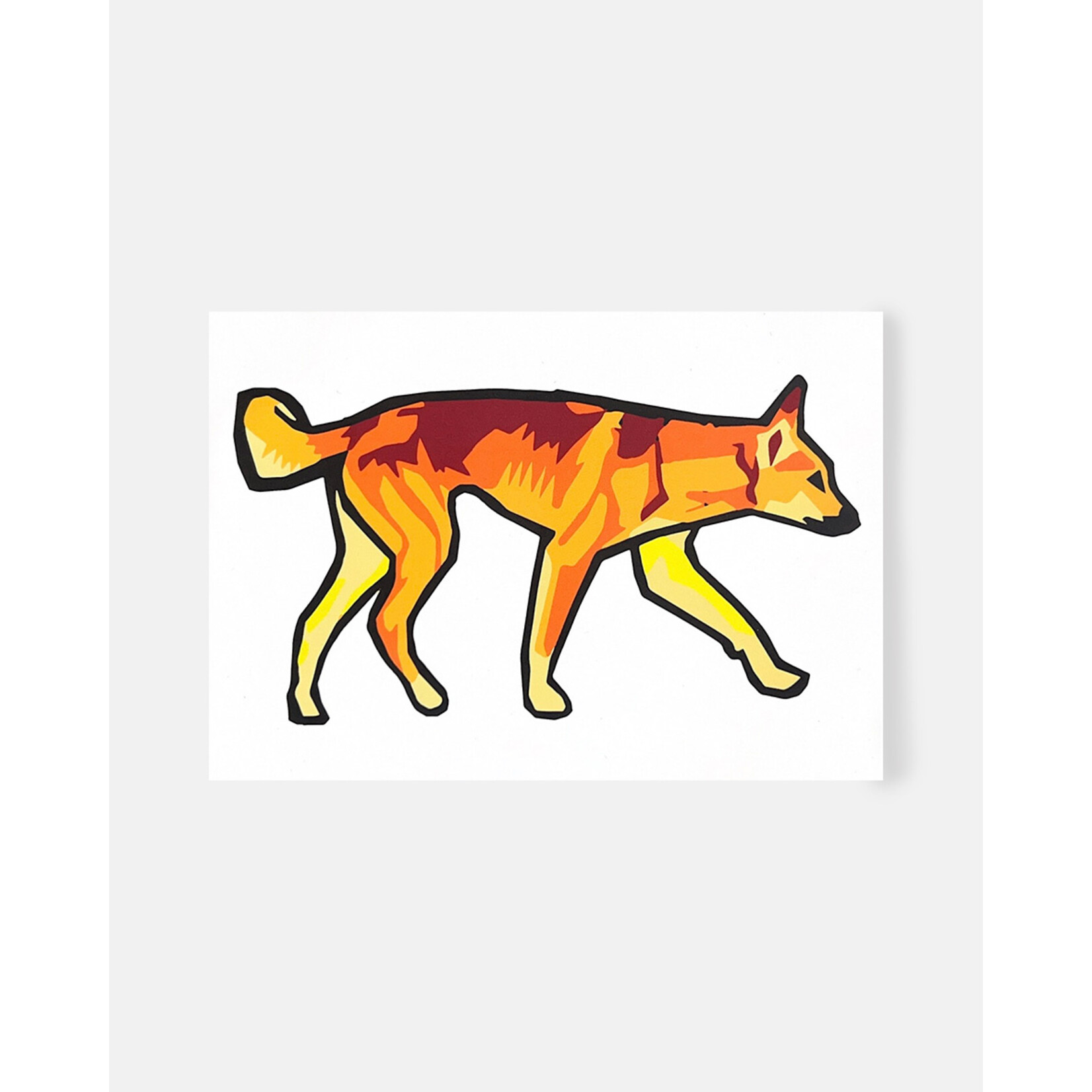 Josh Muir ‘DINGO’ Postcard