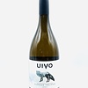 Douro Branco Reserva 2019 Folias de Baco “Uivo” 750ml