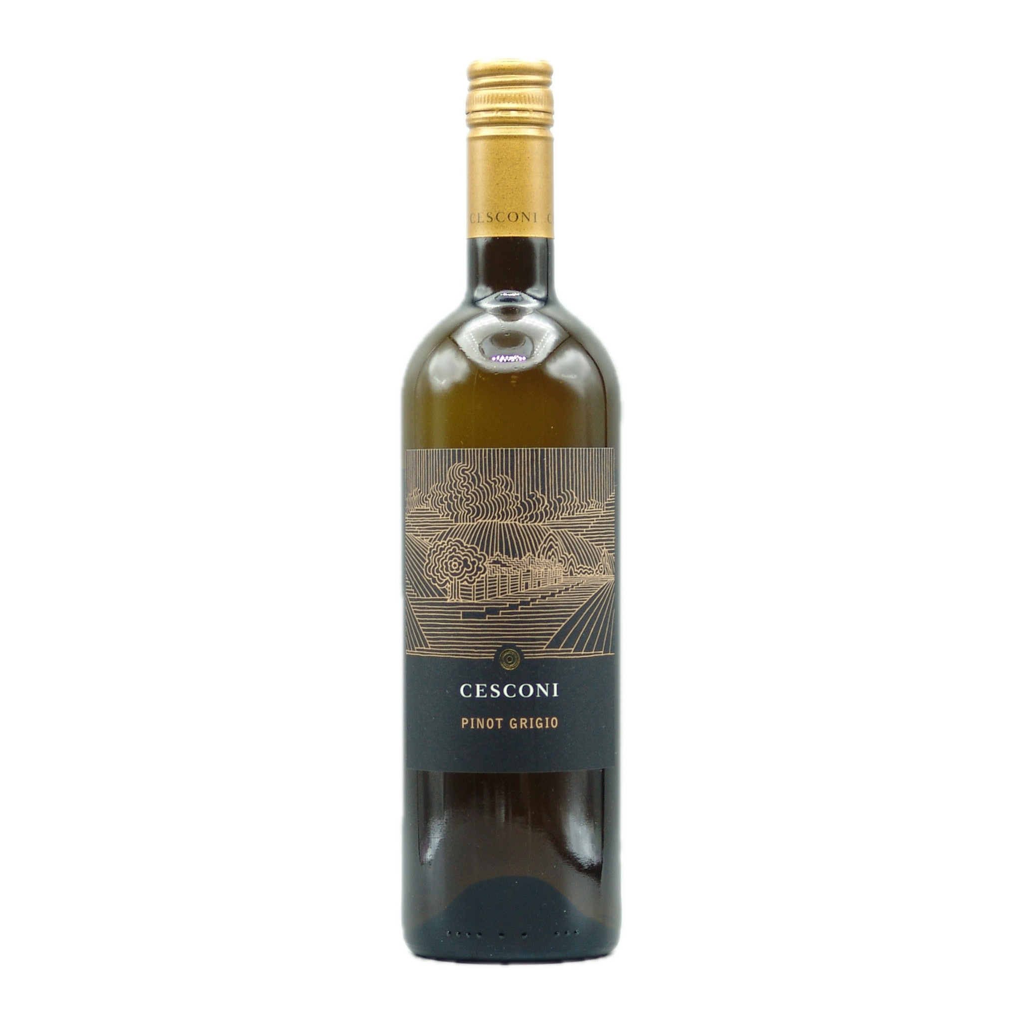 Trentino Pinot Grigio 2022 Cesconi 750ml