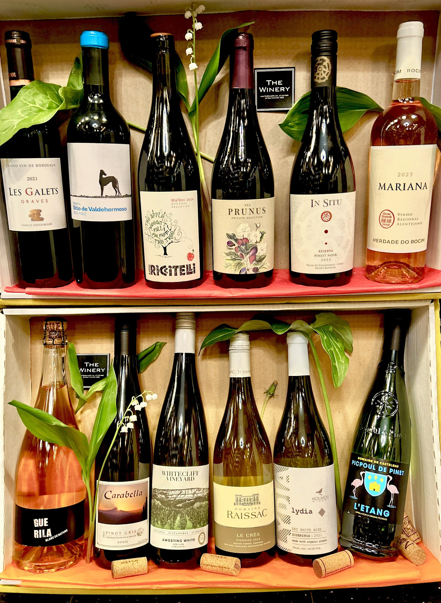 Sommelier Value Pack- Spring 2026  12bt x 750ml