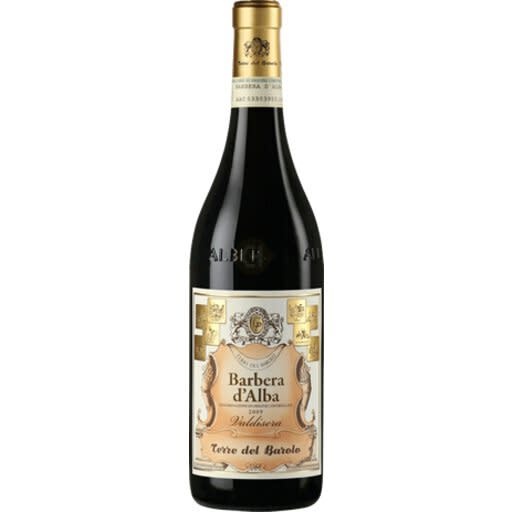 Barbera d'Alba 2023 Terre del Barolo