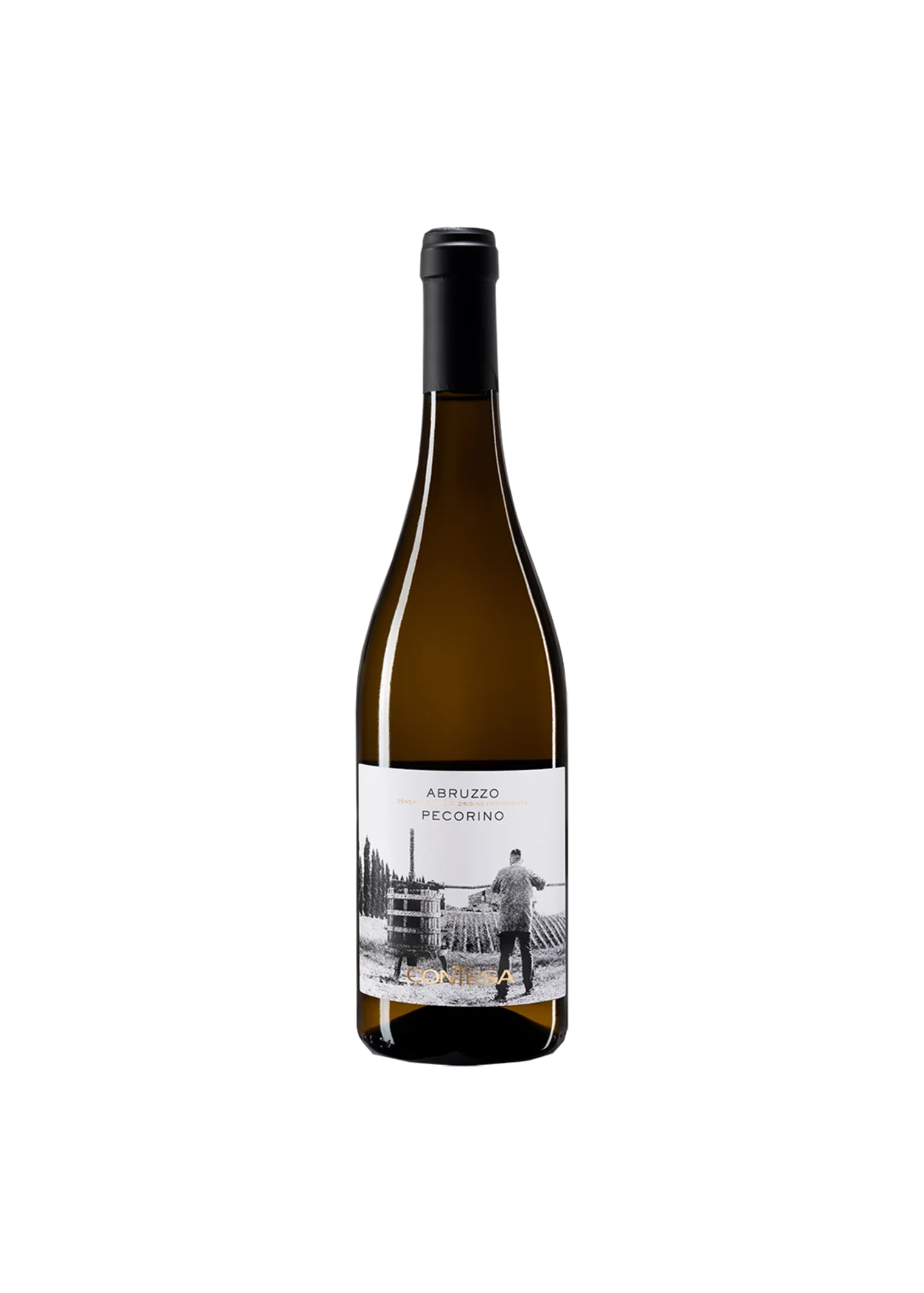 Abruzzo Pecorino 2025 Contesa Agricola 750ml