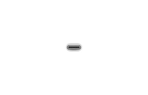 Apple FTZ USB-C to USB Adapter