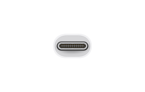 Apple FTZ Thunderbolt 3 (USB-C) to Thunderbolt 2 Adapter (NOT compatible with mini-display port devices)
