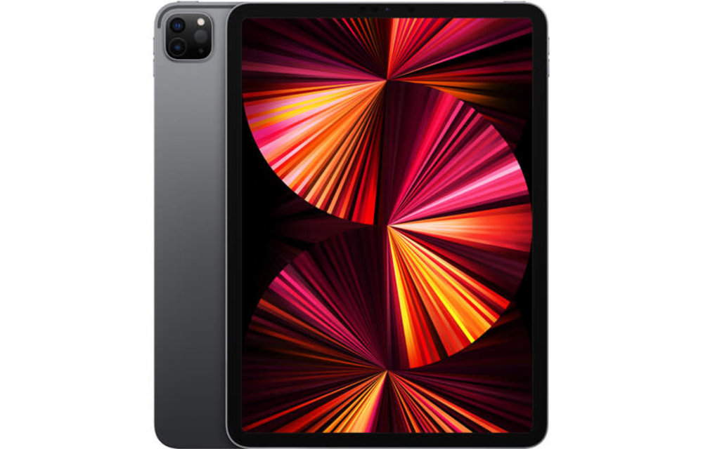 Apple 11" iPad Pro M1 Chip (Mid 2021, 1TB, Wi-Fi Only, Space Gray)