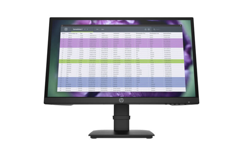 HP P22 G4 21.5-inch Monitor