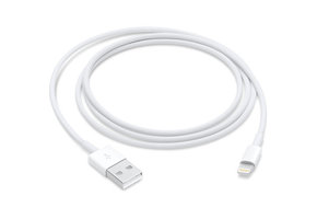 Apple Lightning to USB Cable (1m)