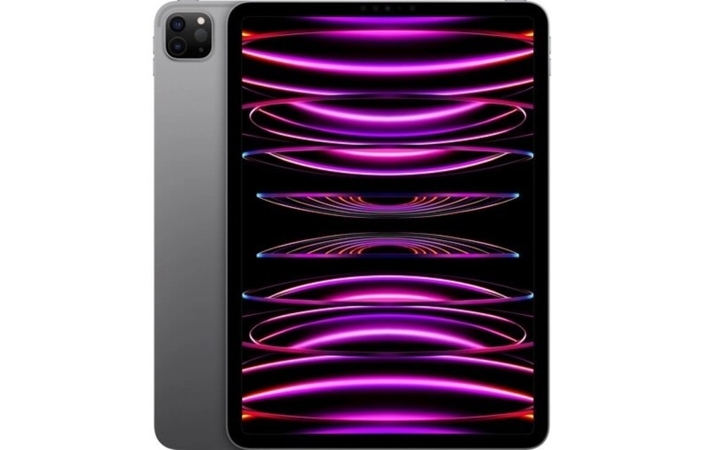 Apple 11" iPad Pro M2 Chip (Late 2022, 1TB, Wi-Fi Only, Space Gray)