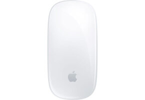 Apple FTZ Magic Mouse White (USB-C) w/ USB-C cable