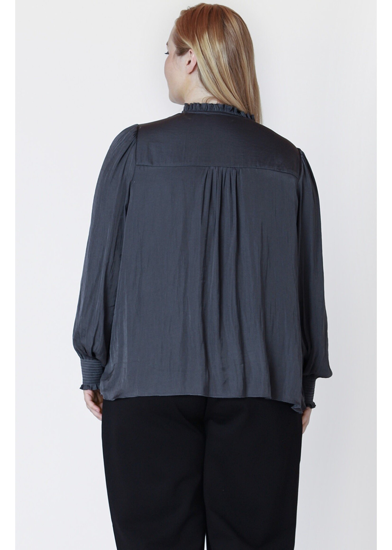 Dex Plus Long sleeve Pintuck Blouse