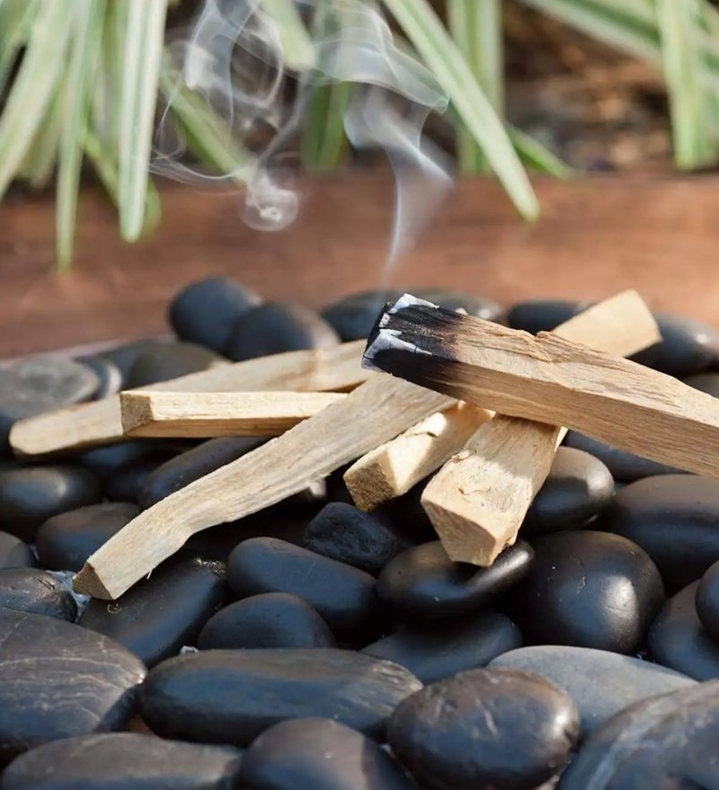 Palo Santo - Holy Wood 4" Stick 3pc