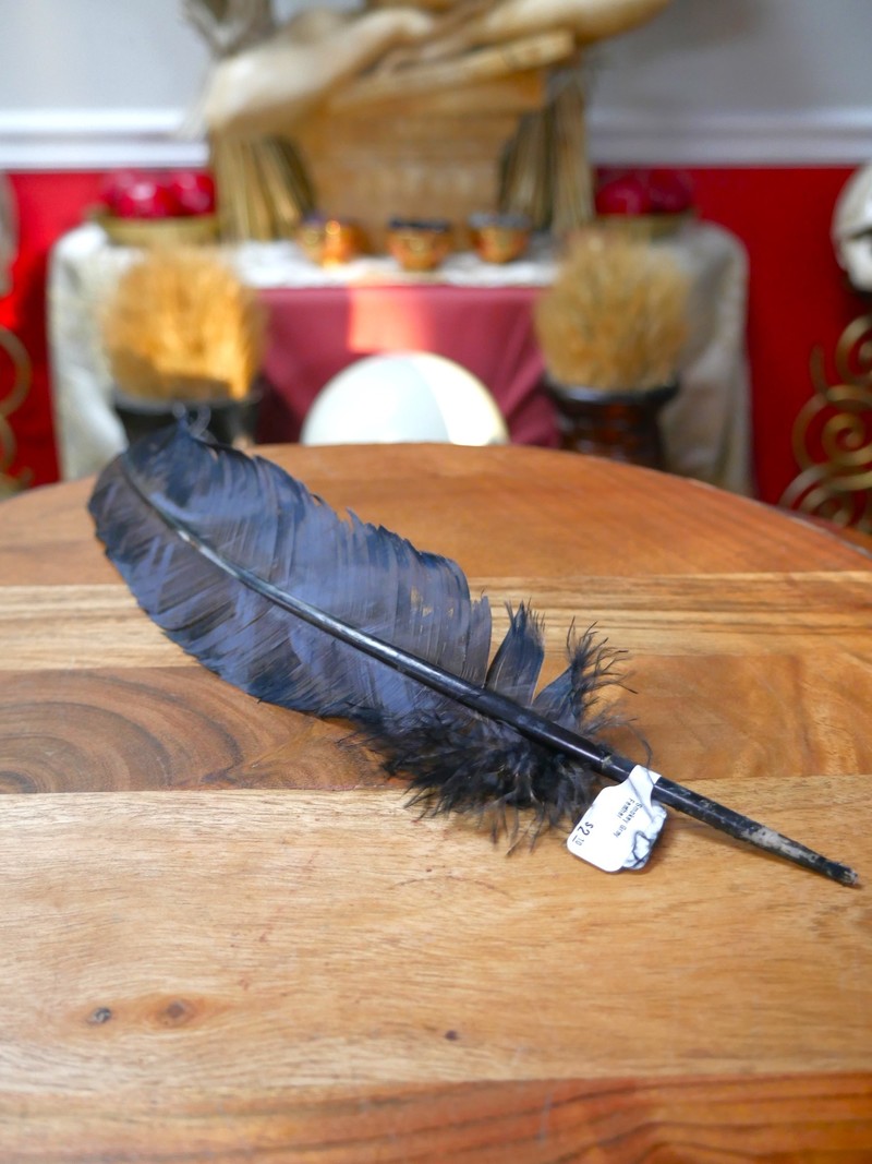 Smudging Smokey Gray Feather